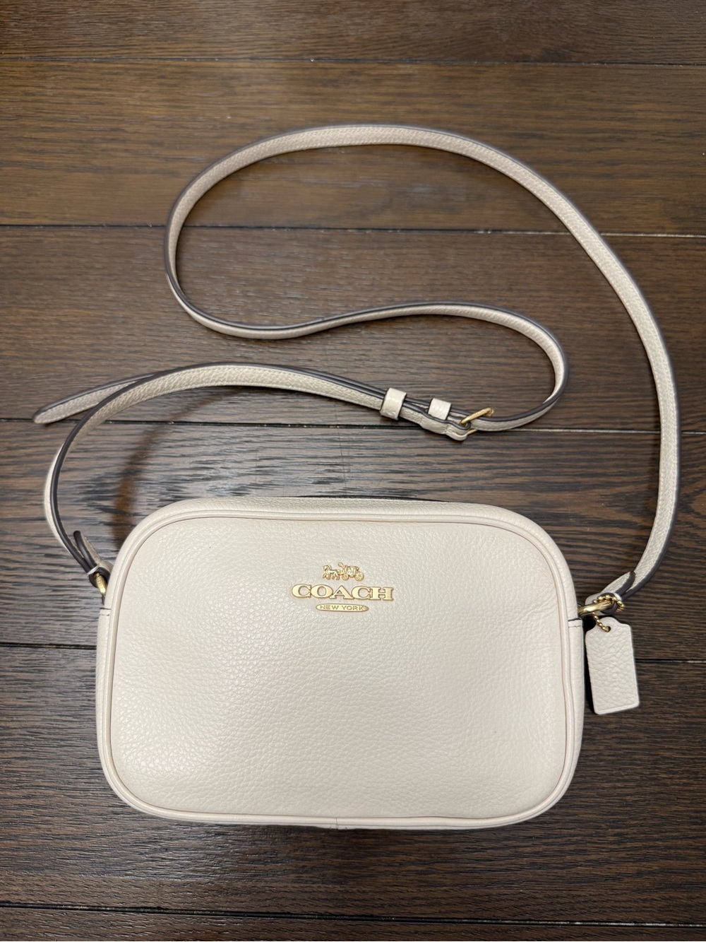 Coach Chalk Mini Jamie Camera Bag CQ875 Pebble Leather Gold Hardware Crossbody